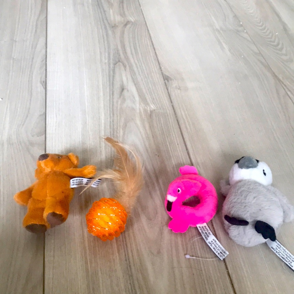 Cat toys with cat nip but the ball. still has tags